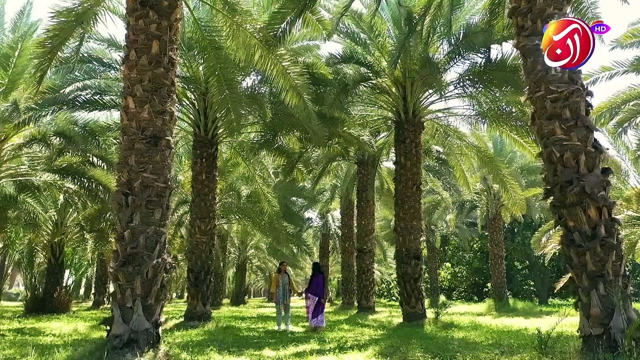 Meri Hai Kiya Khata | Episode 16 | AAN TV