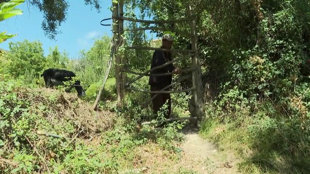 Agricultores contabilizam danos às colheitas após terremoto no Marrocos