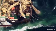 Gli oceani soffrono, Greenpeace lancia l'allarme con il progetto 30x30