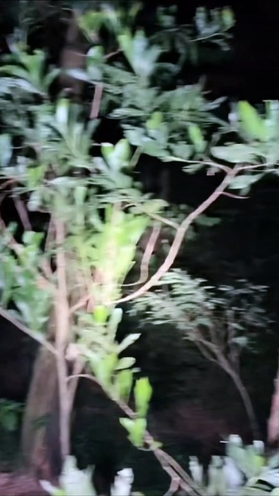 Paranormal activity ghost on camera part 233