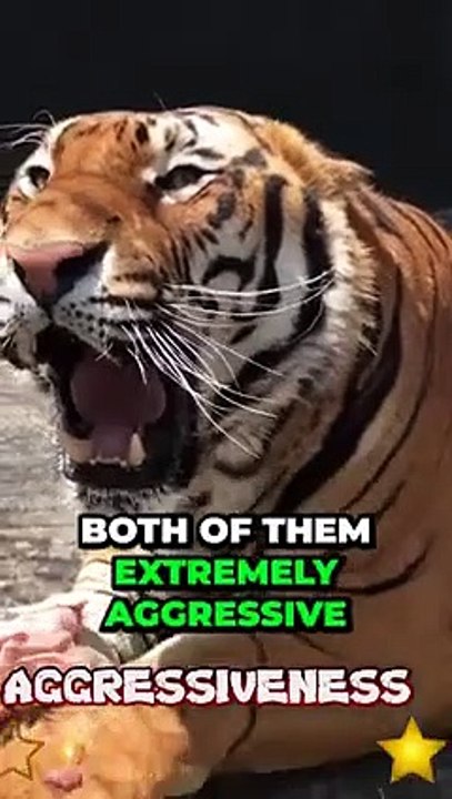Uncovering the Shocking Truth Which Animal is More Aggressive - Lion or Tiger