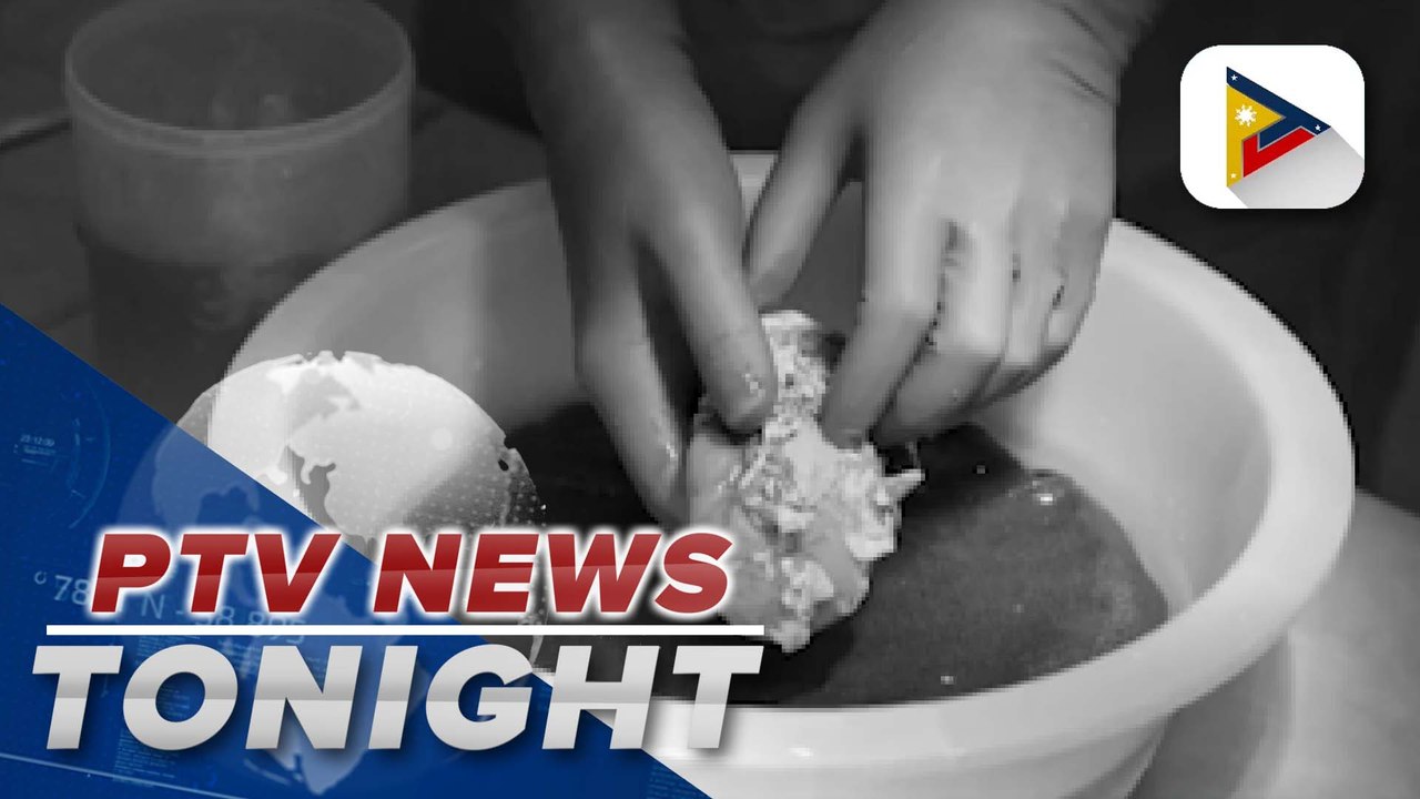 Chinese scientists grow first-ever humanized kidneys in pigs