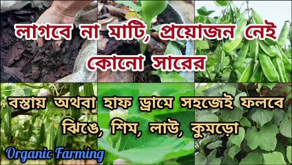 মাটি ছাড়া সবজি চাষ ।। Soil less farming ।। Organic farming