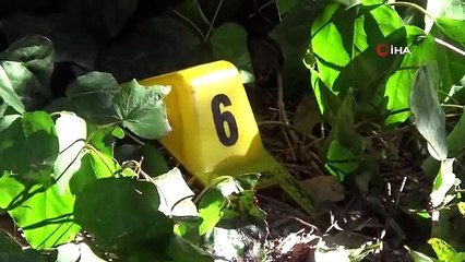 İzmir'de kadın cinayeti: Parkta buluştuğu eski eşini tabancayla vurarak öldürdü