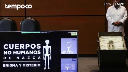 Makhluk ‘Aneh' Ini Dipaparkan di Parlemen Meksiko, Alien atau Mumi Anak-anak?