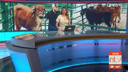 1.000 animales serán exhibidos en la Feria Expocruz 2023