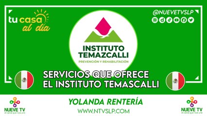 Servicios que ofrece el Instituto Temazcalli