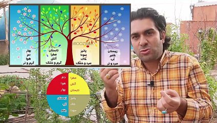 ویژگی های دموی مزاج ها، مزاج فصل بهار و دم