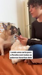 Tutora lê carta com palavras preferidas cão e reação do pet se torna viral