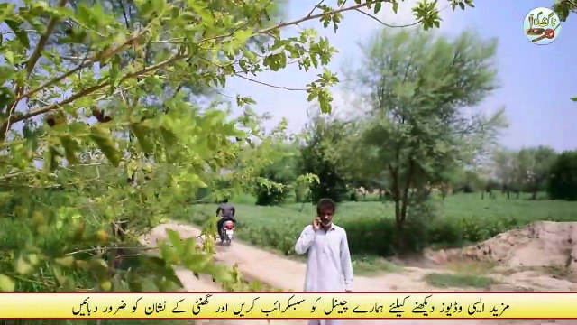 A Man Killed A Snake , The Snke Followed Him Then The Jogis Came And Rescued Him - Naag Jogi