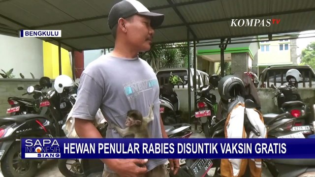 Hari Rabies Sedunia, Dinas Peternakan dan Kesehatan Hewan Bengkulu Gelar Vaksin Rabies Gratis!