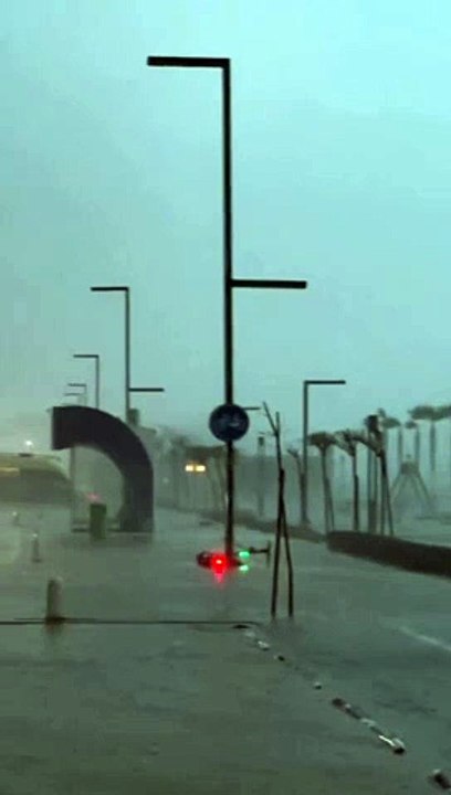 Unleashing Nature's Fury: Lightning, Hurricane, and Flood - The Ultimate Storm Experience