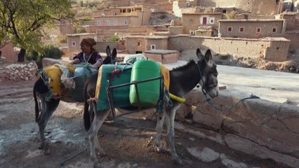 المغرب.. سكان القرى النائية يلجأون للدواب بعد إغلاق الصخور المتساقطة للطرق