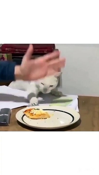 اللعنة - f*ck