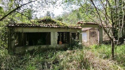 NA TERRÍVEL FLORESTA, ENCONTREI UMA CASA ABANDONADA