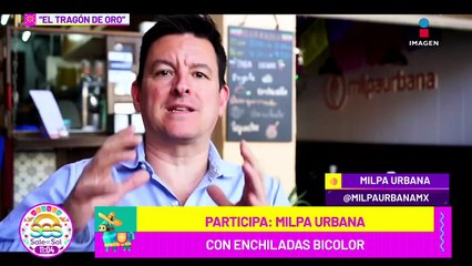 Conoce las Enchiladas Bicolor de la 'Milpa Urbana' en 'El Tragón de Oro'