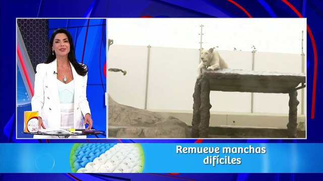 Huachipa: realizan refacciones en Parque las Leyendas y reabrían sus puertas en dos semanas