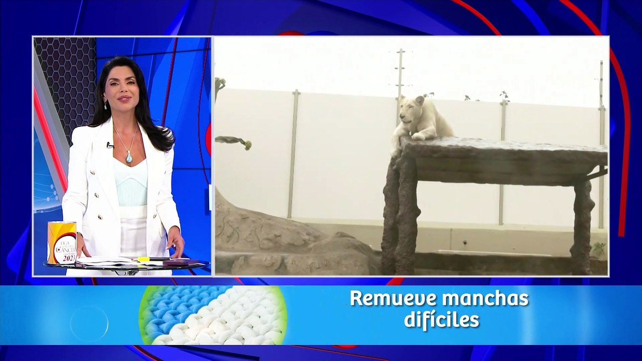 Huachipa: realizan refacciones en Parque las Leyendas y reabrían sus puertas en dos semanas