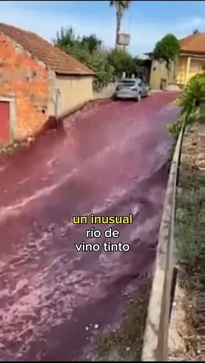 Rio de vino tinto en Portugal