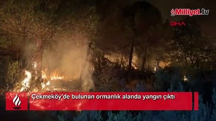 Çekmeköy’de orman yangını! Ekipler müdahale ediyor