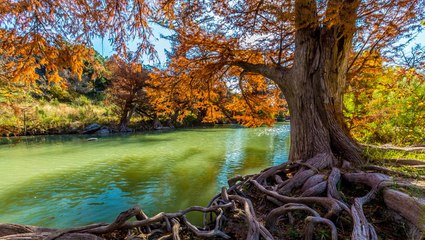 Where To Find The Best Fall Foliage In Texas Hill Country