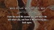 Surah Ta-Ha Verse 55 __ Beautiful Recitation by Ahmed