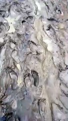 Tragédia na Líbia: sobrevivente filma destruição em Derna após rompimento de barragem