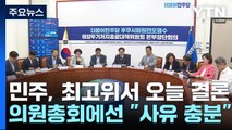 민주, 국방장관 탄핵 추진 여부 오늘 결론...'실효성' 이견 / YTN