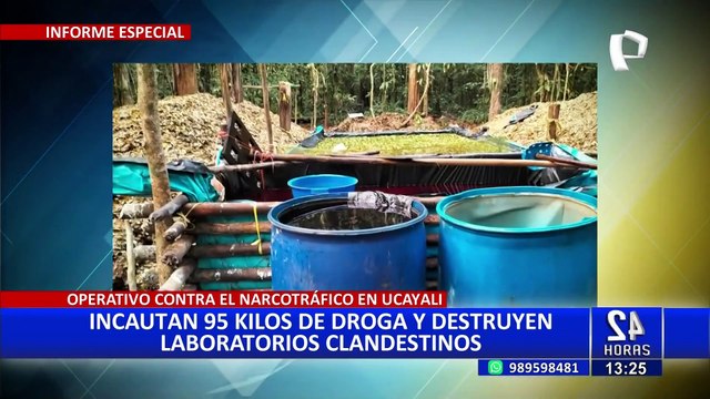 Incautan y destruyen 90 kilos de insumos para fabricación de droga