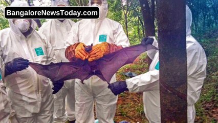 Karnataka govt calls for vigilance on spread of Nipah virus in Kerala