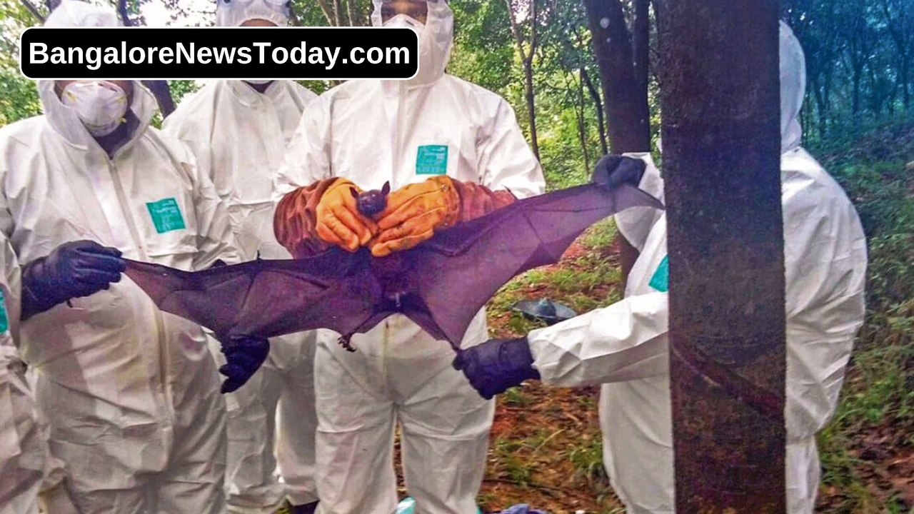 Karnataka govt calls for vigilance on spread of Nipah virus in Kerala