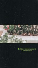 plantita garden☘️