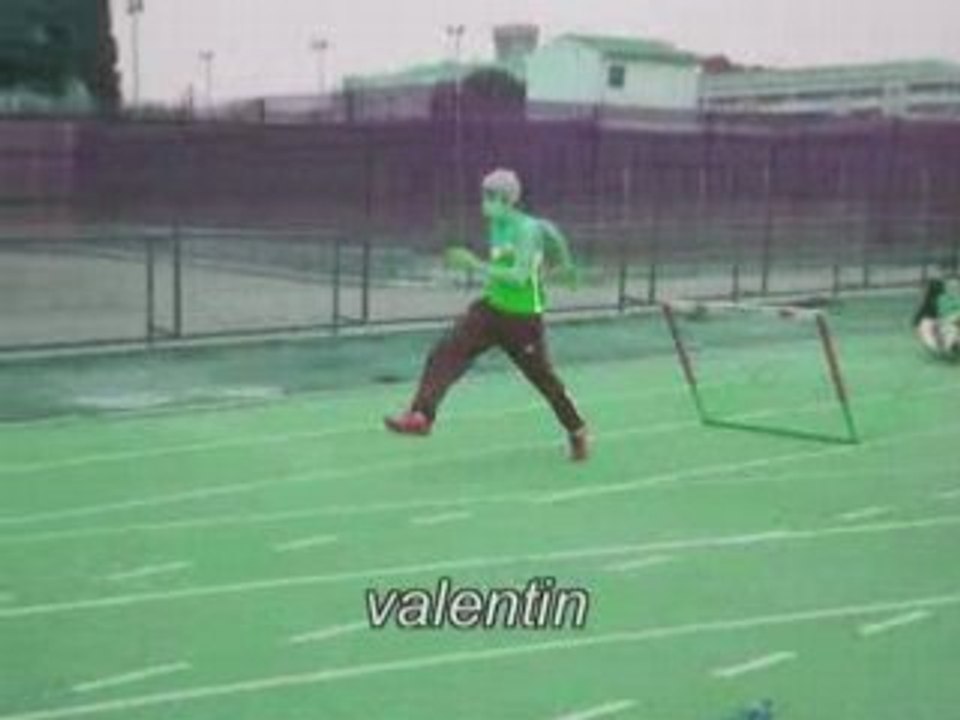 Haies échauffement rég janv 2008