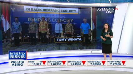 Tomy Winata, Konglomerat di Balik Proyek Rempang Eco City