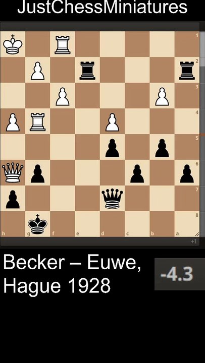 Max Euwe controls the second rank and wins