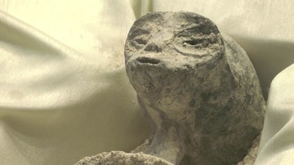 "UFO-외계인 증거 없다"...NASA, 1년 조사 끝 결론 [앵커리포트] / YTN