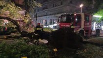 Maltempo nella notte a Milano, cade un albero in via Fabio Filzi