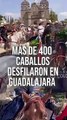 Más de 400 caballos desfilaron en Guadalajara, durante el marco de los 103 años de la charrería   #TuNotiReel