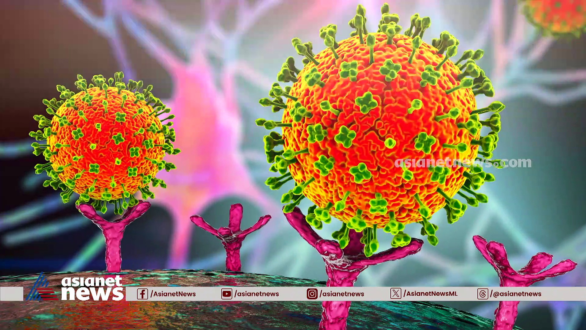 നിപയെ തടുക്കാൻ ജാഗ്രതയോടെ കേരളം; കാണാം പ്രപഞ്ചവും മനുഷ്യനും