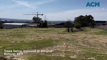 Trees being removed at Simplot Bathurst