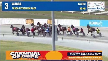 Tapanga Miss winning at Riverina Paceway