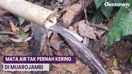 Kemarau Panjang, Mata Air di Desa Ibru Muarojambi Tidak Pernah Kering