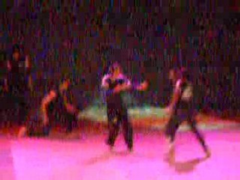 démontration PWTS festival des art-martiaux 2008