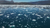 Algues rouges, produits chimiques, records de températures... au Groenland, la fonte des glaces s'accélère
