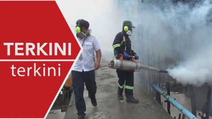 [TERKINI] Kes demam denggi catat lonjakan lebih 100% tahun ini