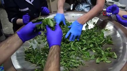 Rize çayı dünyaya tanıtılıyor