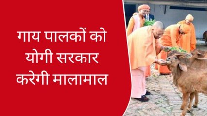 कानपुर: गाय पालकों को योगी सरकार करेगी मालामाल, गाय पालने पर मिलेंगे इतने रुपए