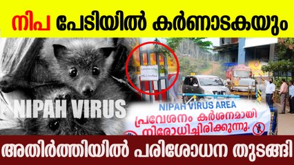 കേരള- കര്‍ണാടക അതിര്‍ത്തിയില്‍ പരിശോധന; നിപ പേടിയില്‍ കര്‍ണാടകയും