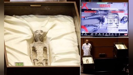 Elien Corpse: Unveiling the Mystery | A Deep Dive into the Enigmatic World"