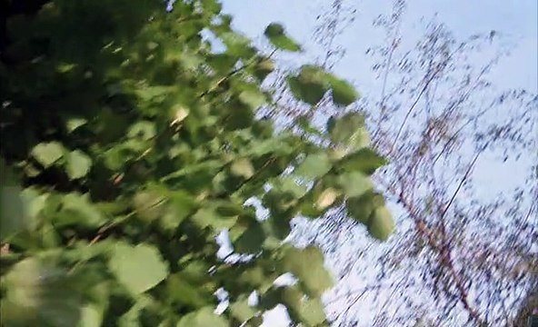 De Vierde Man - The Fourth Man 1983 Español España Castellano